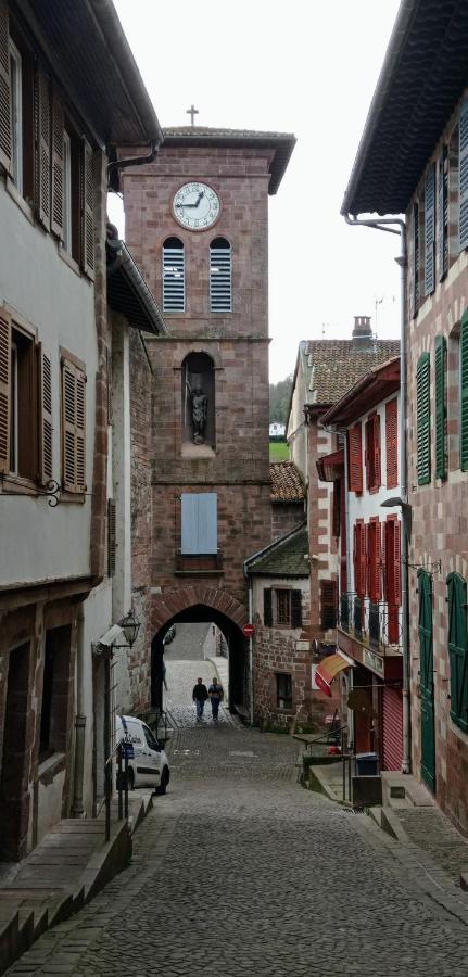 Saint Jean Pied De Port. Centre Ville. Rue Pietonne Zewnętrze zdjęcie